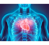 Cardiologie