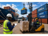 TRANSIT – IMPORT – EXPORT GLOBAL