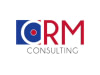 CRM CONSULTING