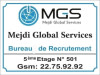 MEJDI GLOBAL SERVICE