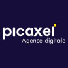 PICAXEL