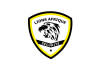 LIONS AFRIQUE SECURITE