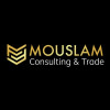 MOUSLAM CONSULTING