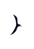VIXMAT COMMUNICATION