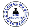 GLOBAL MS SECURITE SARLU
