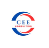 CEE CONSULTING CEE CONSULTING