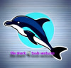 DIM-SHARK TOOLS VENTURES