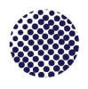 NEPTUNE ENERGY INDUSTRIES