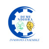 DEME NDIOBA ET SERVICES