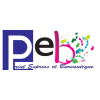 PEB GROUP MEDIA