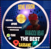 SENE VISION