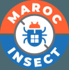 MAROCINSECT