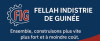 FELLAH INDUSTRIE DE GUINÉE (FIG)