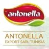 ANTONELLA EXPORT