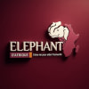 ÉLEPHANT D'AFRIQUE SARL