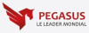 PEGASUS INDUSTRIE