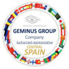 GEMINUS INTERNATIONAL GROUP LTD
