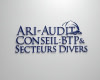 ARI - AUDIT CONSEIL