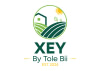 TOLE BII BY XEY