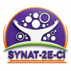 SYNAT-2E-CI