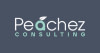 PEACHEZ CONSULTING CC