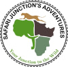 SAFARI JUNCTION' S ADVENTURES