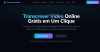 TRANSCREVERVIDEO