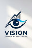 VISION FINANCE EVALUATION