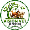 VISION VET CONSULTING