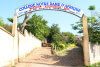 banner picture