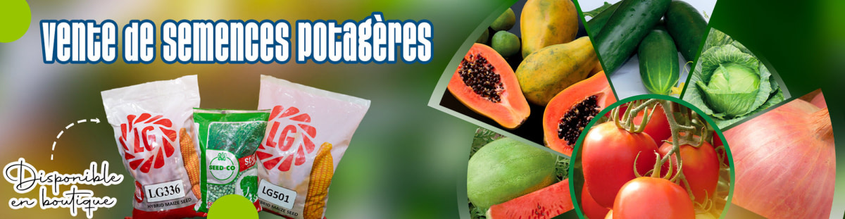 banner picture