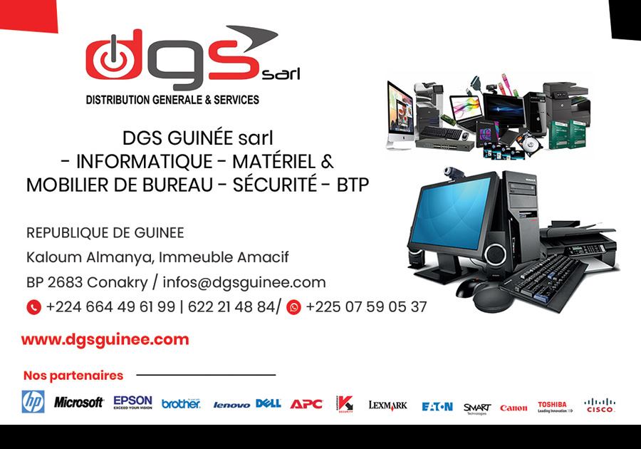 DGS GUINEE SARL : informatique