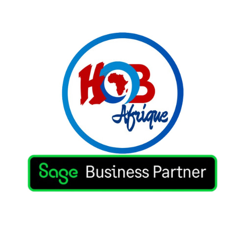 HOB AFRIQUE SARLU - Consultants informatiques