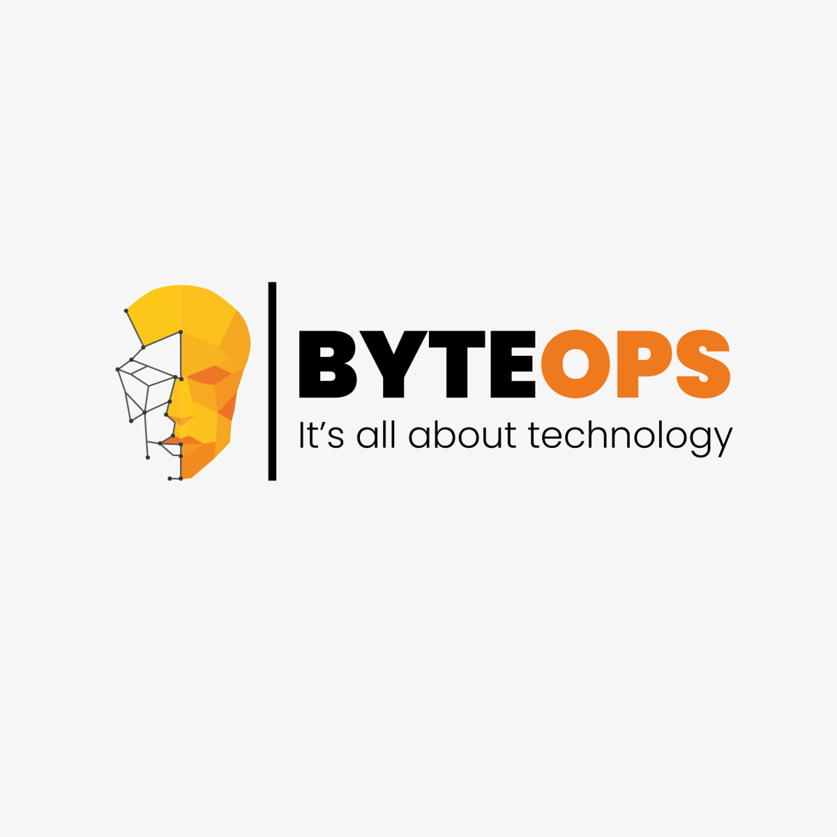 BYTEOPS SARL - Informatique