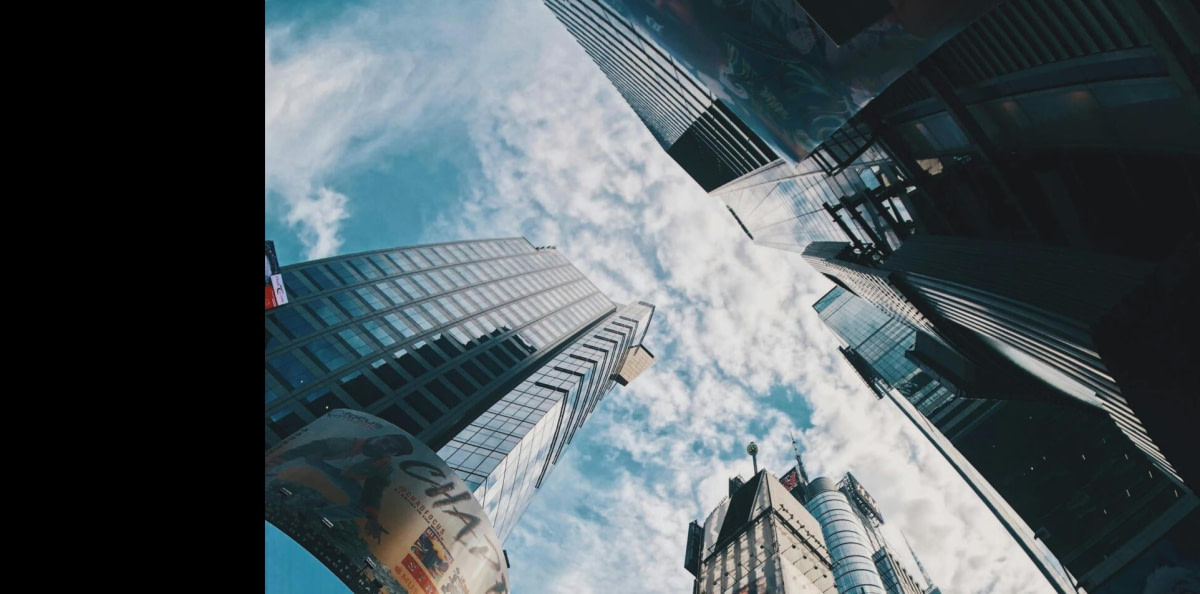 banner picture