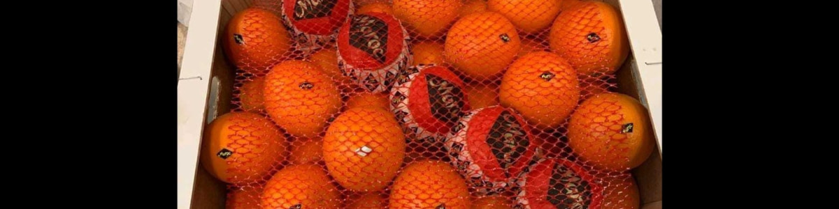 banner picture