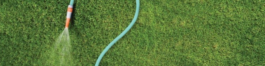 banner picture