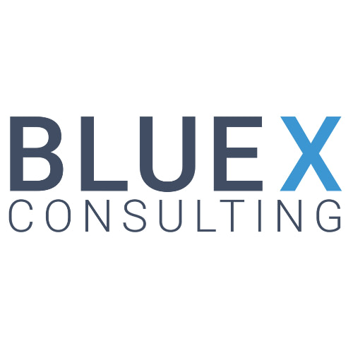BLUE X CONSULTING - Audit - Conseil