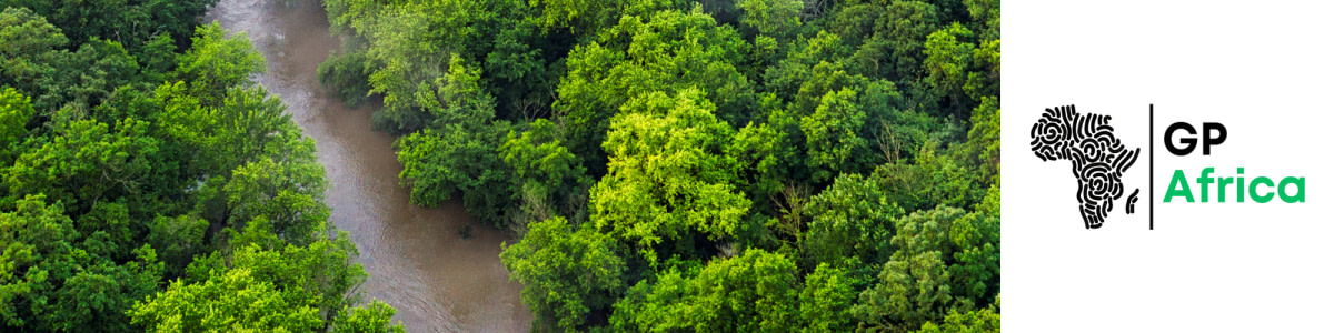 banner picture