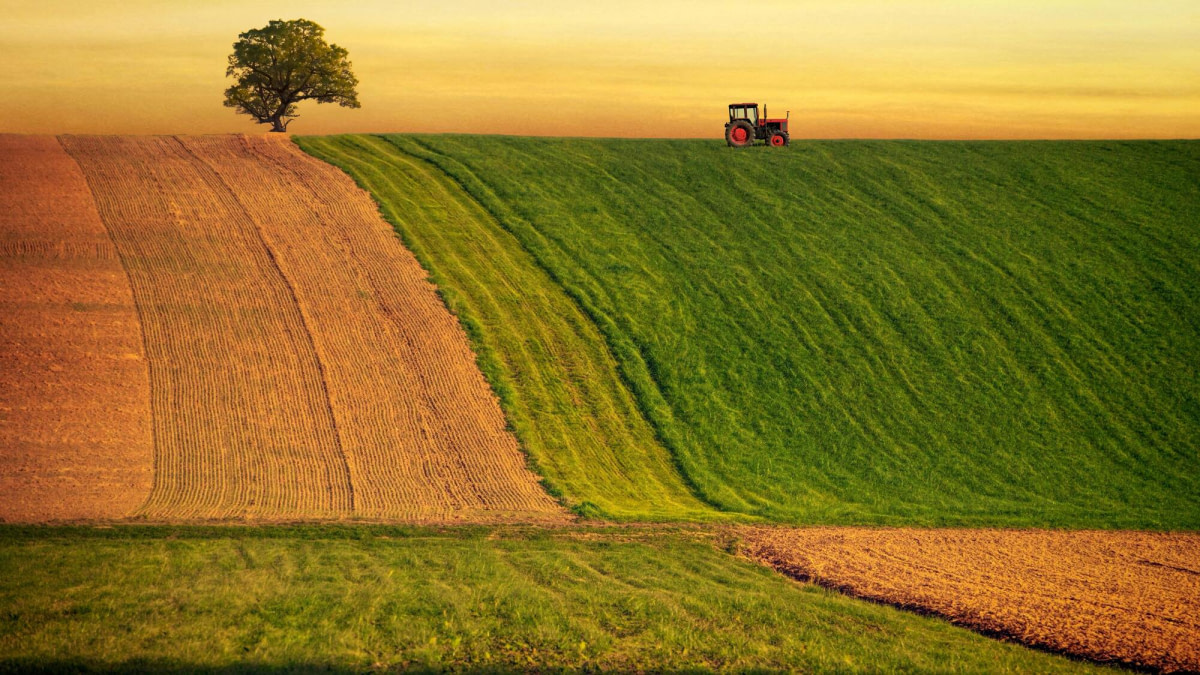 banner picture