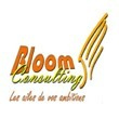BLOOM CONSULTING