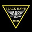 BLACK HAWK SECURITY