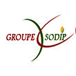 GROUPE SODIP