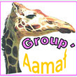 GROUP AAMAF (GROUPE DES AGENCES D'ASSISTANCE MUTUELLE D'AFRIQUE)