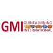 GMI (GUINEA MINING INTERNATIONAL)