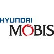 CO-TO AUTO S.A (HYUNDAI MOBIS)