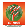 B & PARTNERS