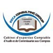 EECA-CG (EMINENCE EXPERTISES CONSEILS & AUDITS-CONSULTING GROUP)