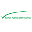 BUSINESS AUDITING AND CONSULTING