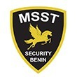 MSST (MAHDI SECURITY SYSTEMS & TECHNOLOGY)